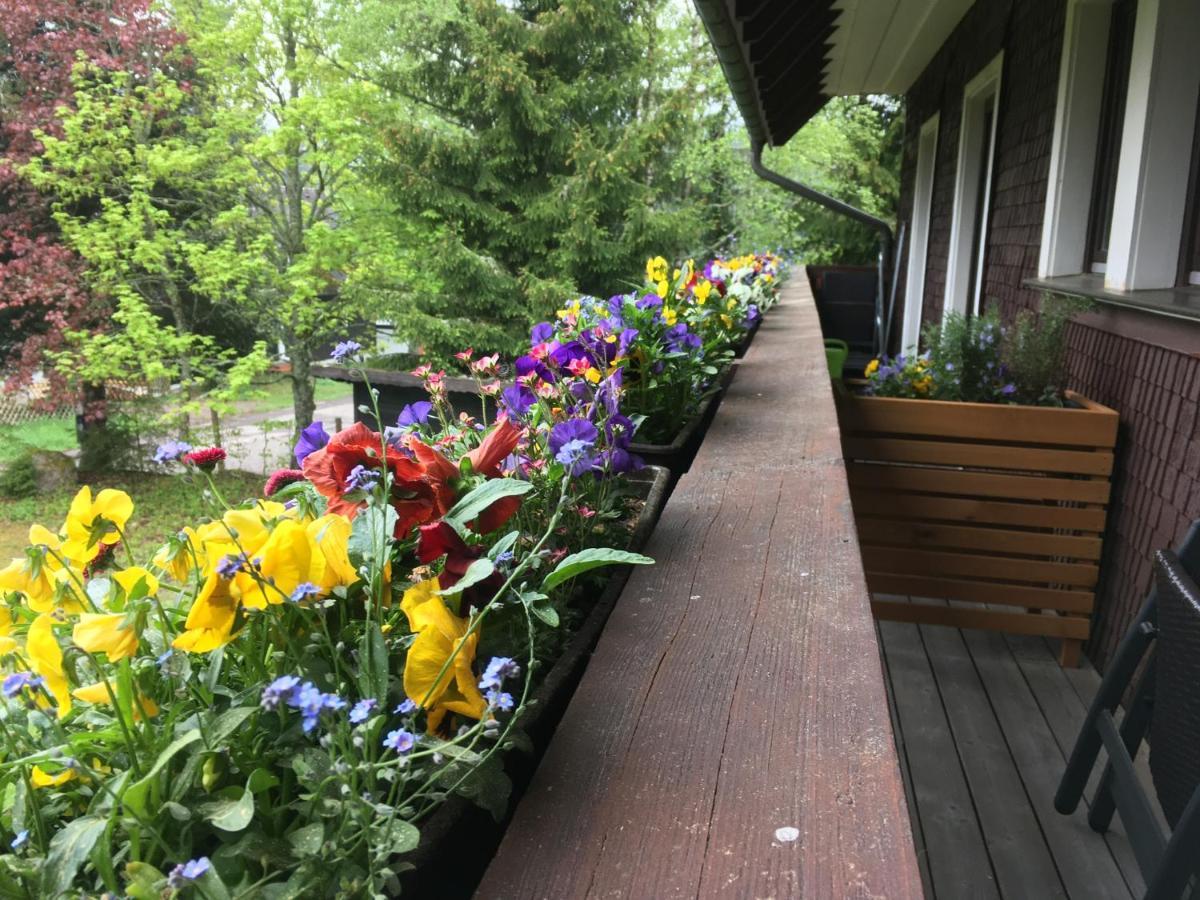 Ferienwohnung Fuchs und Has' Gästehaus Feldberg  Exterior foto