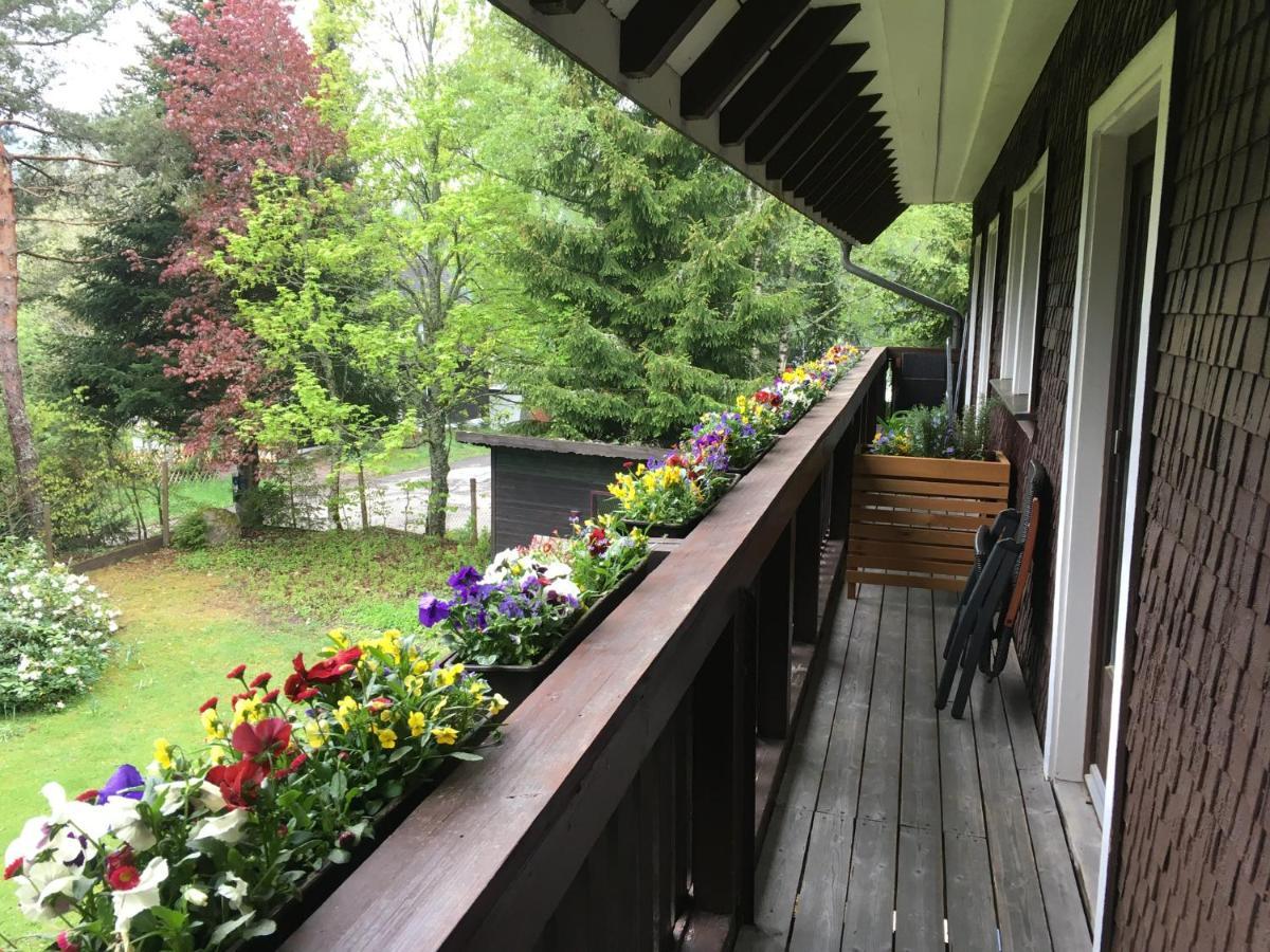 Ferienwohnung Fuchs und Has' Gästehaus Feldberg  Exterior foto