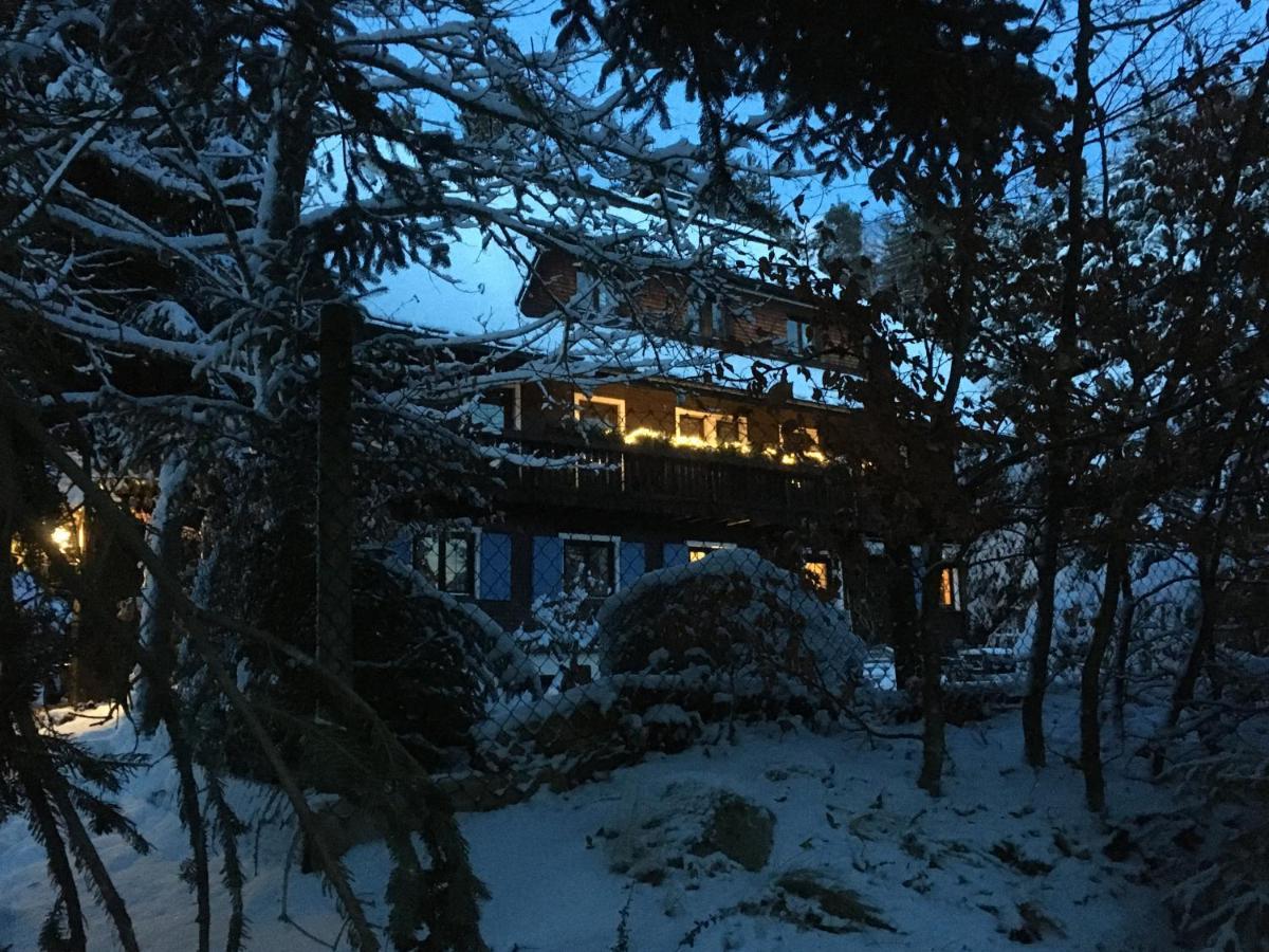 Ferienwohnung Fuchs und Has' Gästehaus Feldberg  Exterior foto