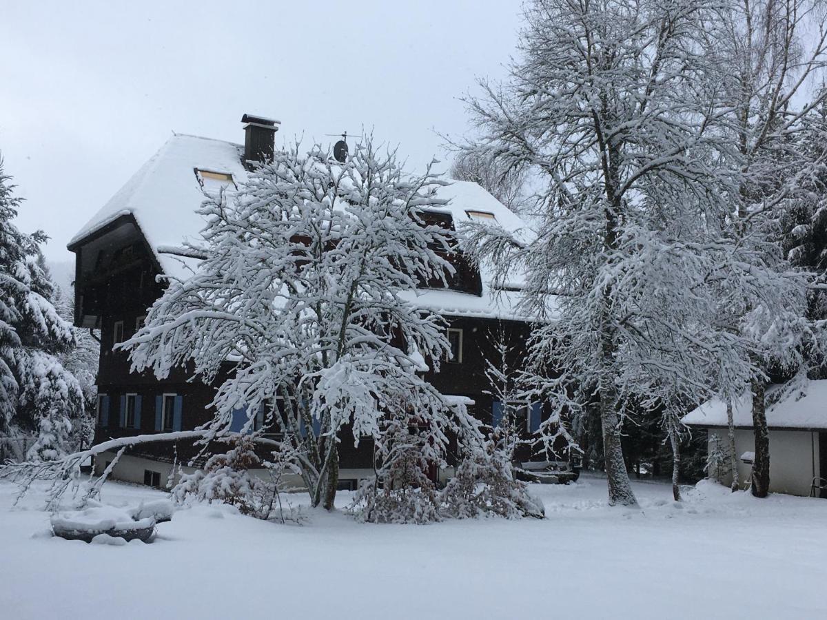 Ferienwohnung Fuchs und Has' Gästehaus Feldberg  Exterior foto