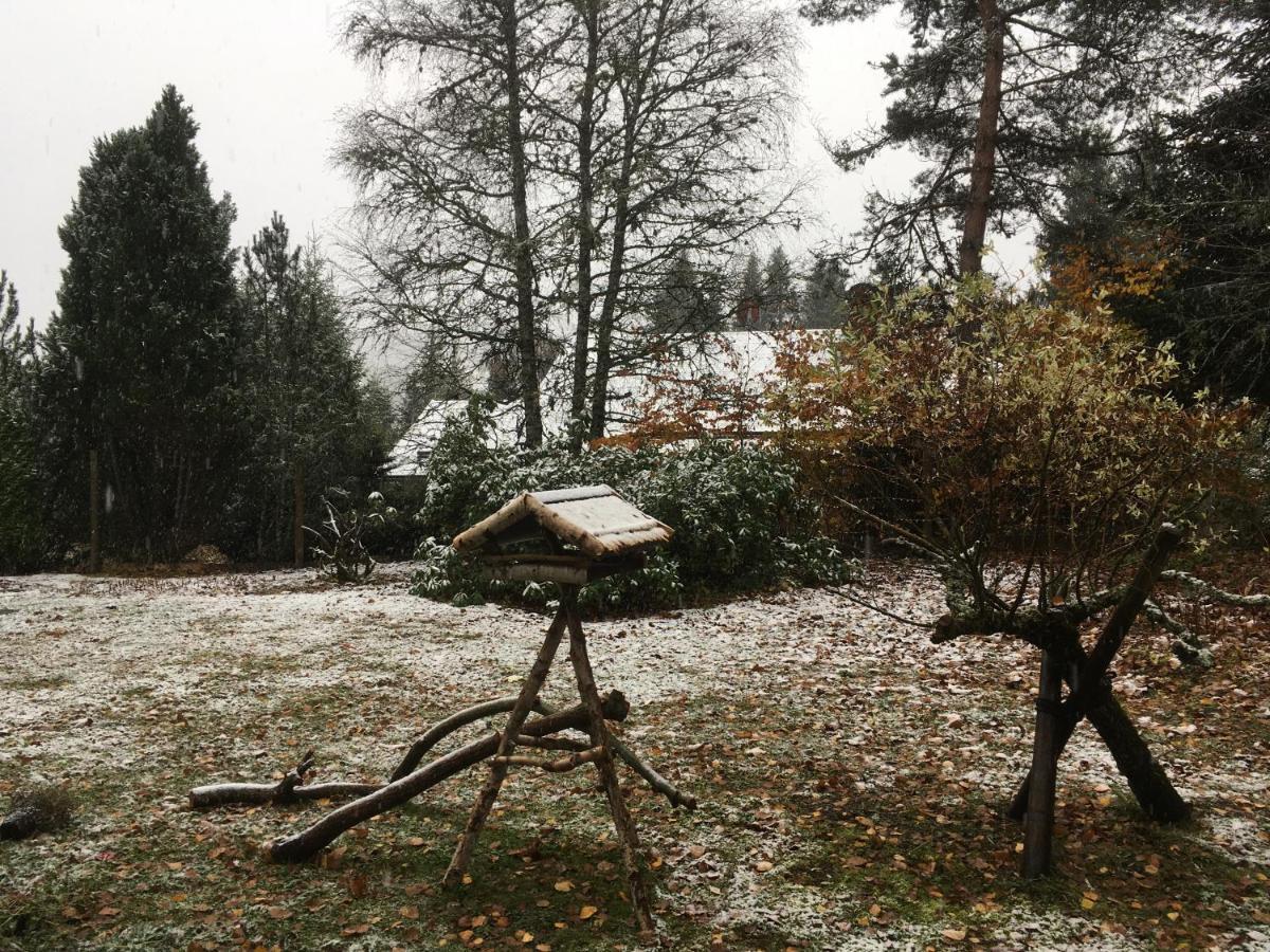 Ferienwohnung Fuchs und Has' Gästehaus Feldberg  Exterior foto